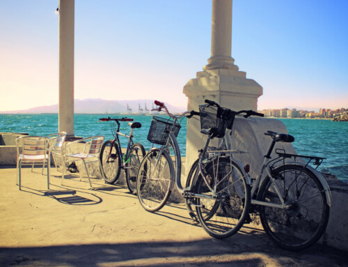 Best Places to Visit in Málaga for Culture and Food
